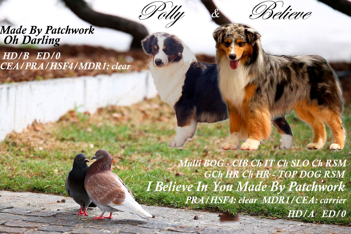 Believe & Polly
