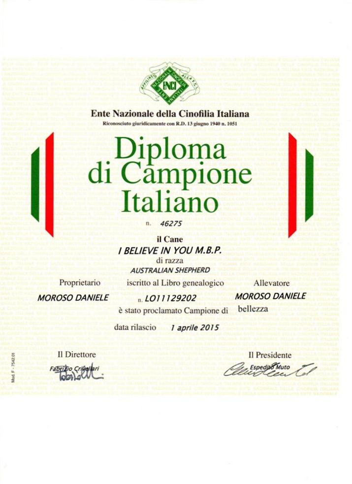 diploma CH IT