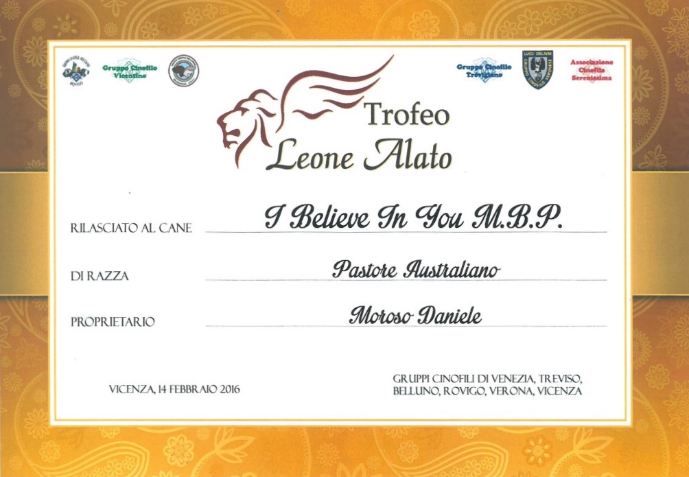 diploma Leone alato 