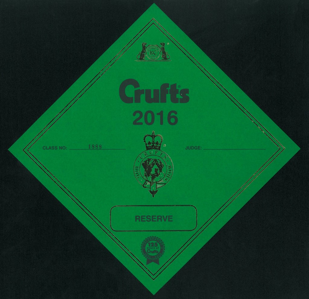 Crufts 2016 RESERVE