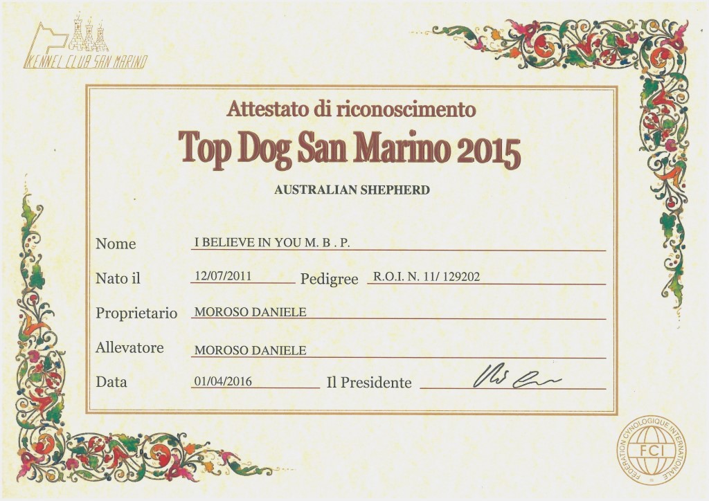 diploma TOP DOG RSM