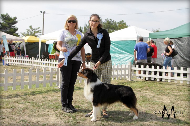 Aussie Geppo BOG Koper 2015