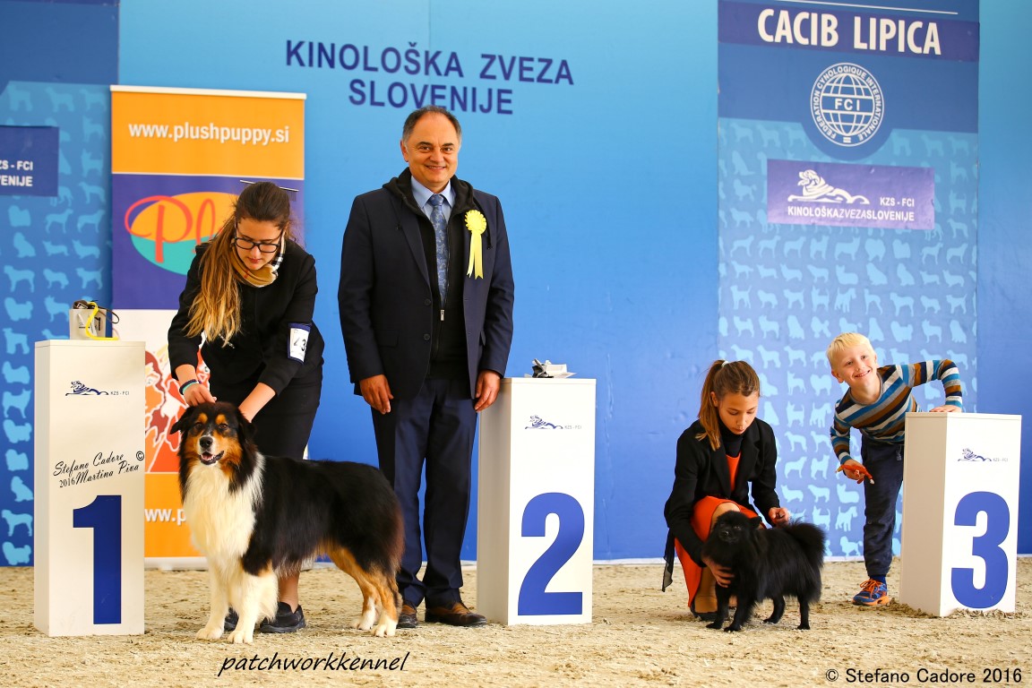 Aussie Geppo & ANA JH Lipica 2 2016