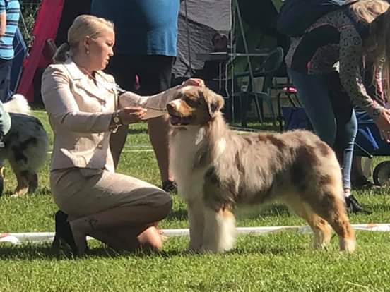 Bennie aussie