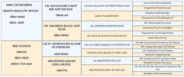 Bippa's pedigree