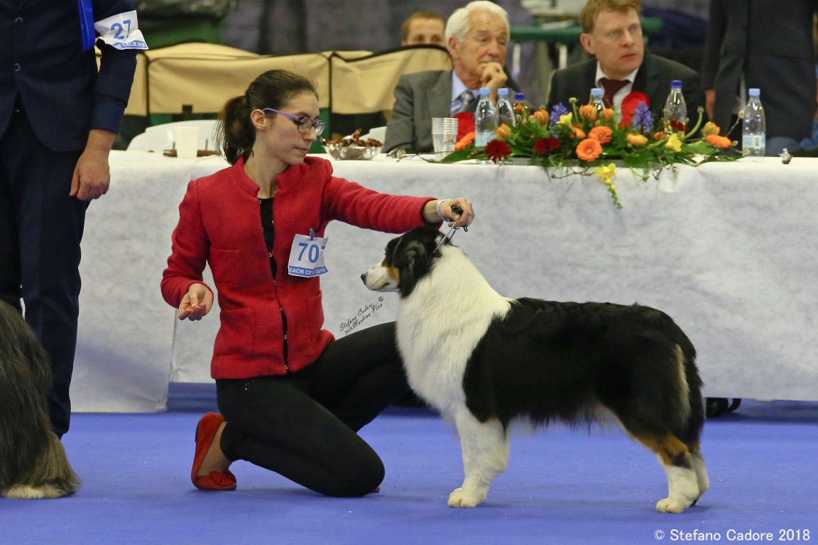 Lady aussie