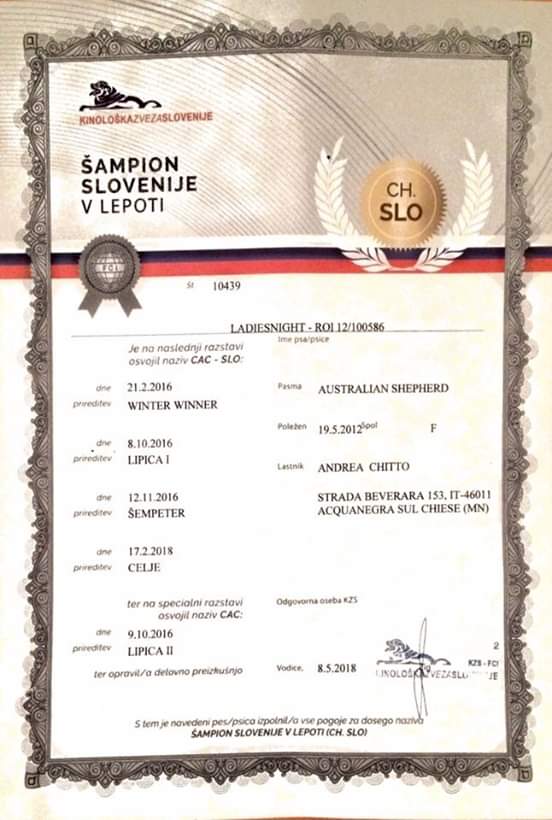 Lady diploma