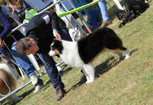 Andrea e Lady CAC Albarella