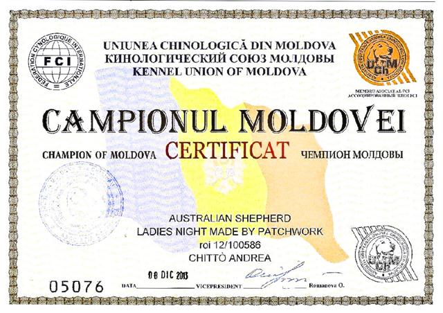 Lady diploma