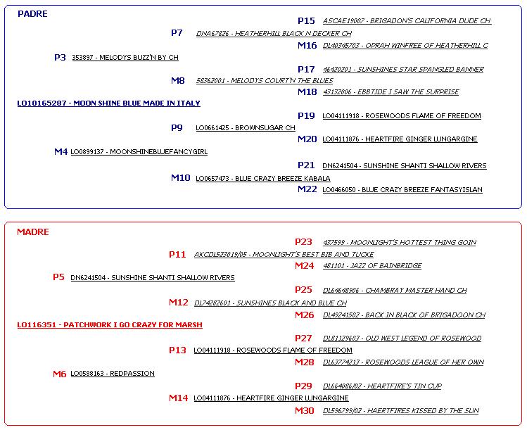 Lady's Pedigree