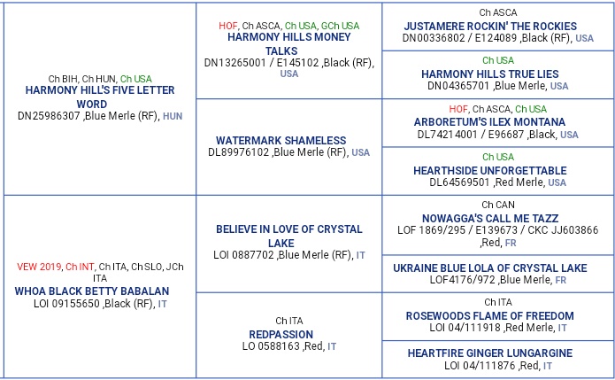 Switch's Pedigree