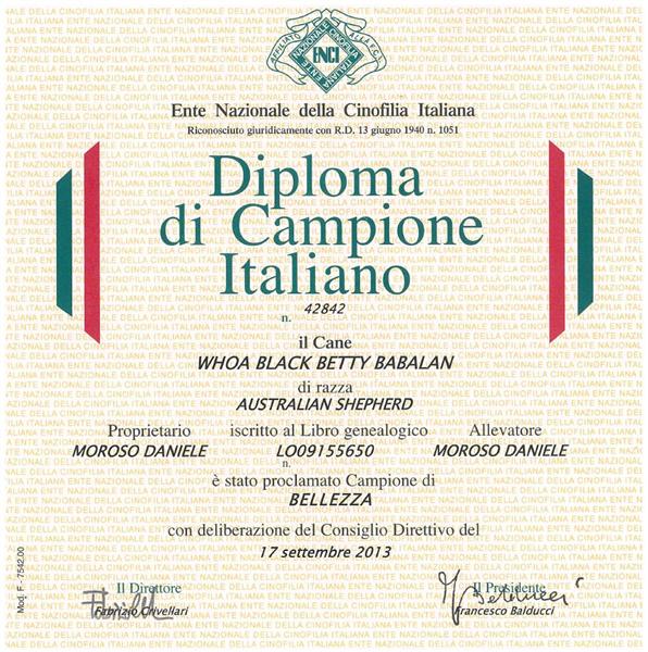 diploma CH IT