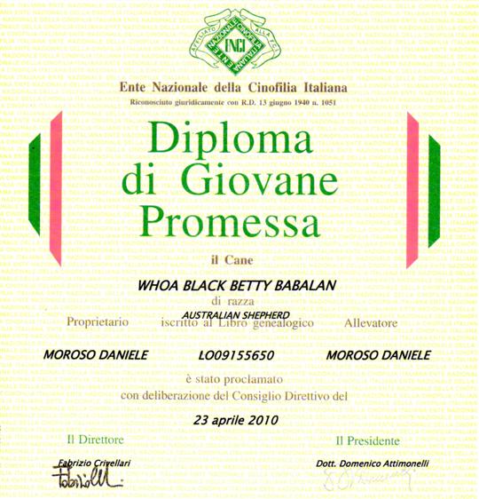 GPE giovane promessa ENCI