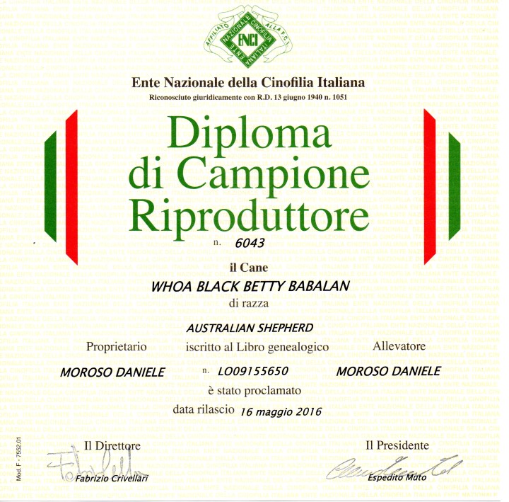 campione riproduttore