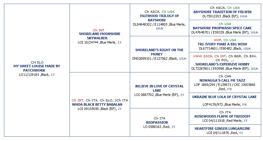 Louise's pedigree