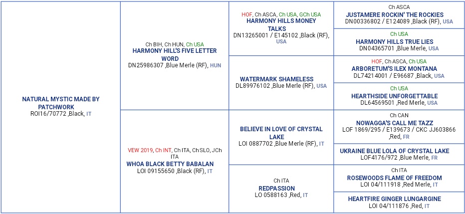 Mystic's pedigree