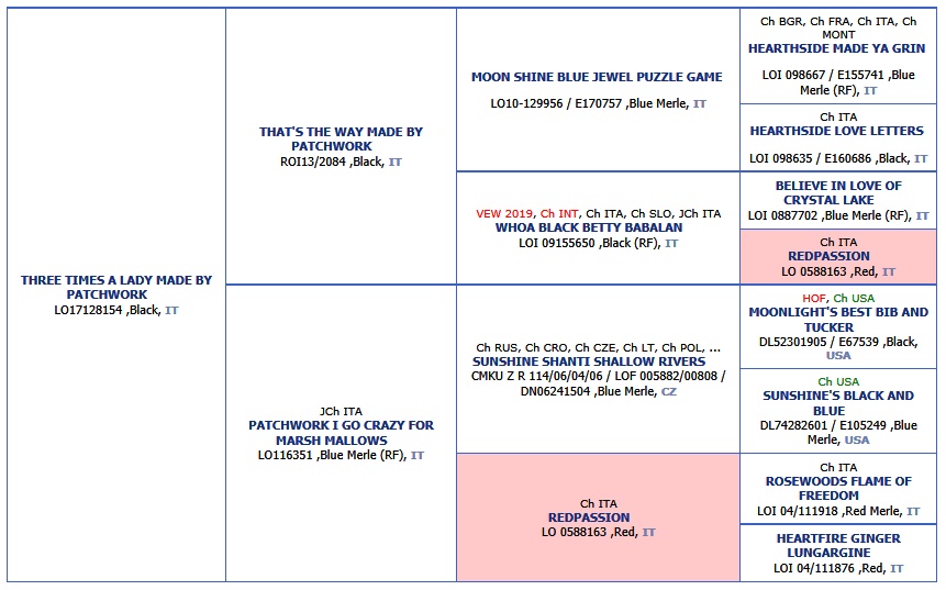 Susan's pedigree