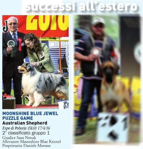 rivista i nostri CANI