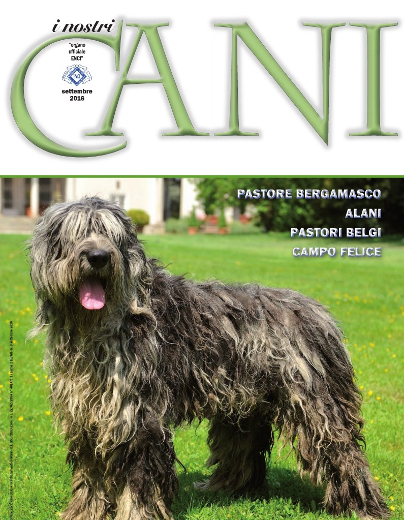 copertina rivista