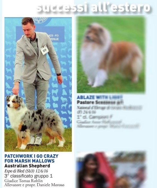 rivista i nostri CANI