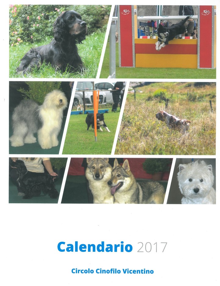 copertina calendario