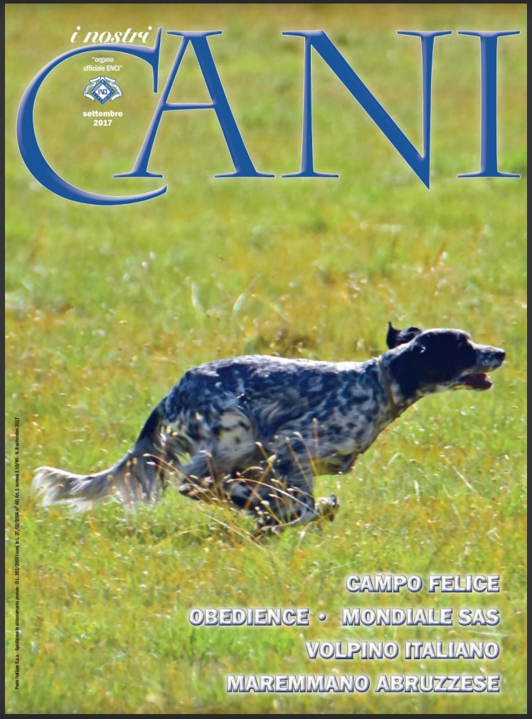 copertina rivista