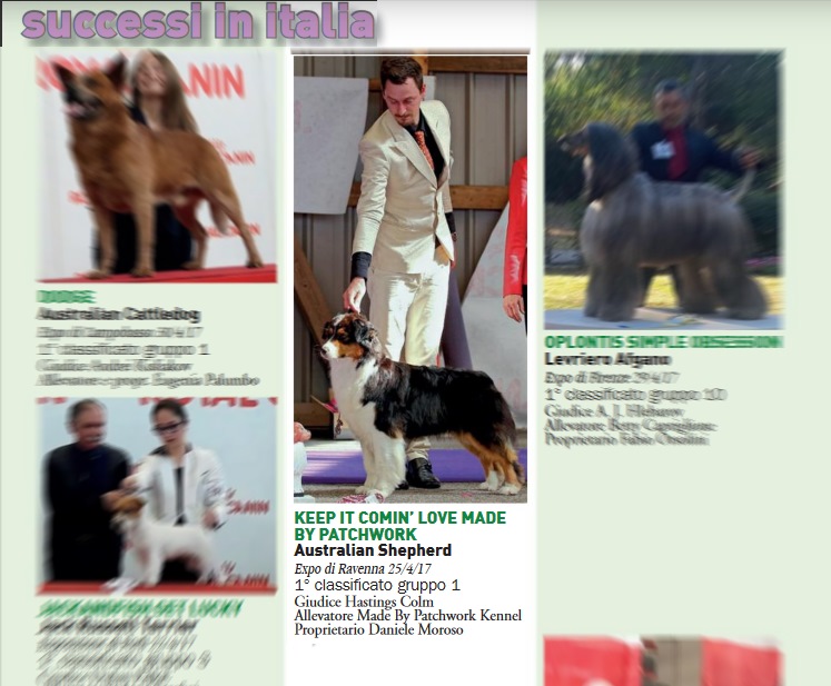 rivista i nostrri CANI