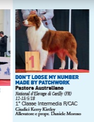 rivista i nostri CANI
