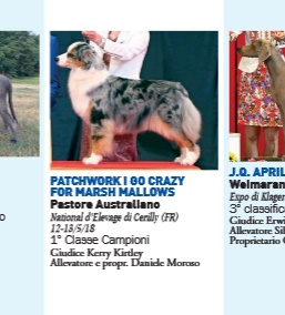 rivista i nostri CANI