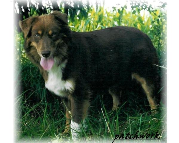 nash