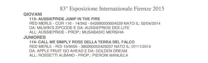 catalogo Firenze 5