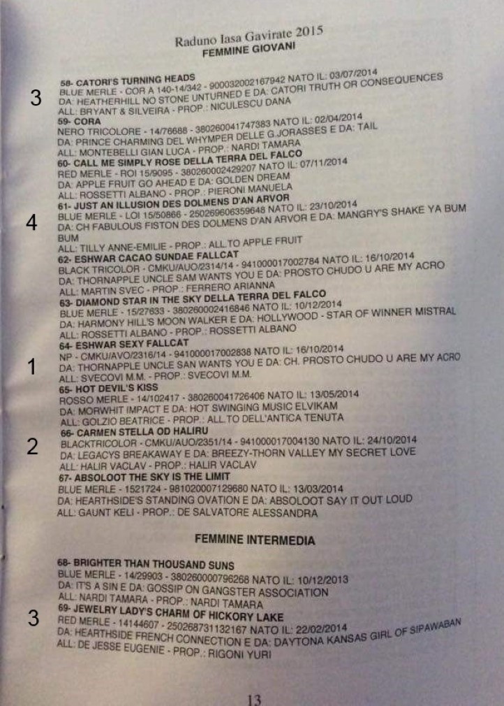 catalogo Gavirate 7