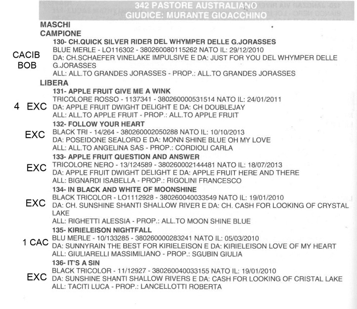 catalogo Insubria 2