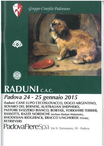 catalogo PADOVA