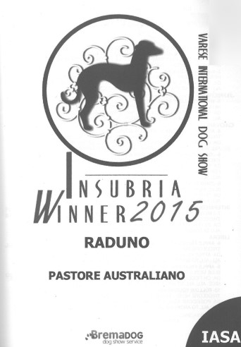 catalogo Raduno Busto Arsizio