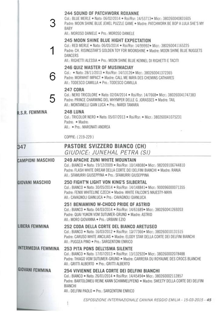 catalogo Reggio pg6