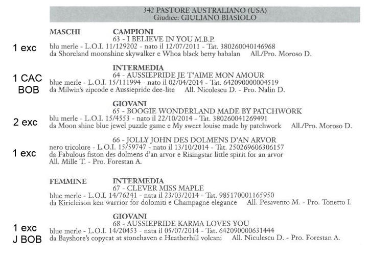 catalogo Treviso 2