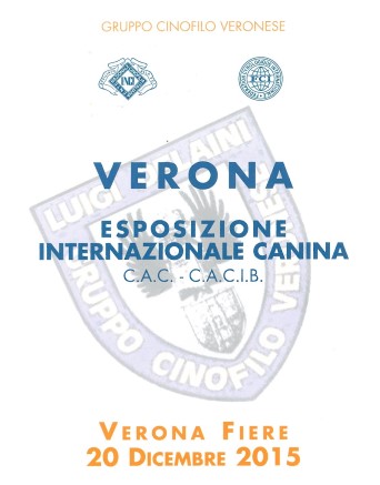 catalogo Verona 1