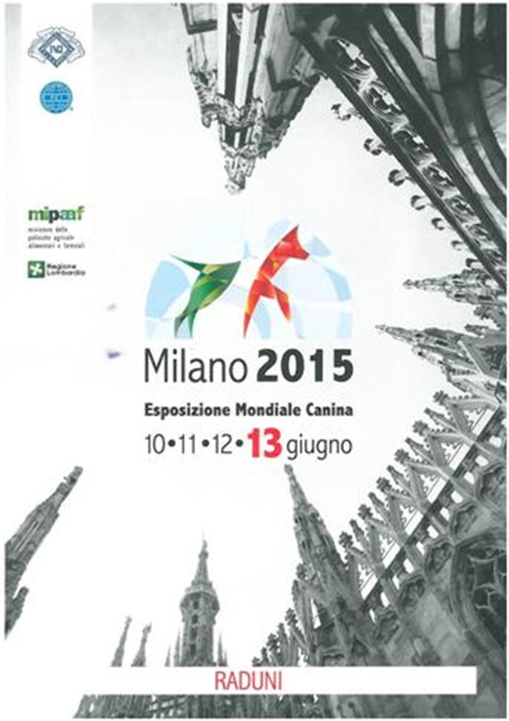 catalogo Raduno Milano 2015