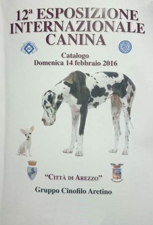 catalogo Arezzo