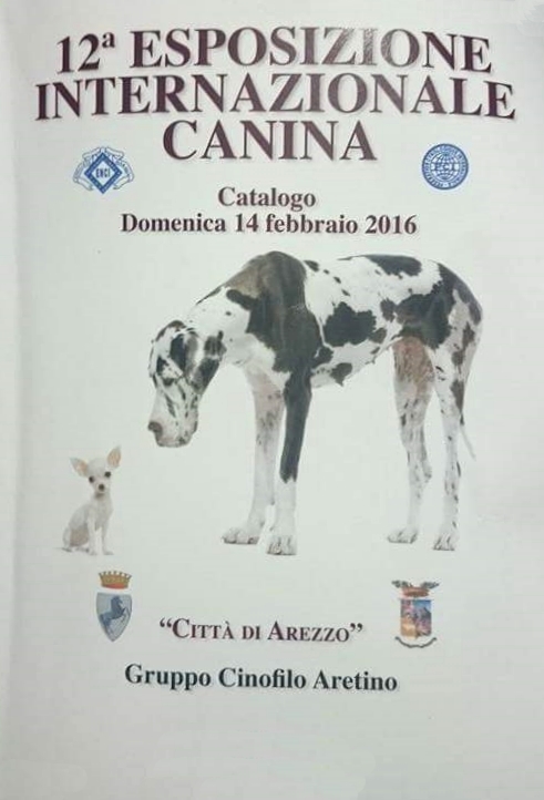 catalogo Arezzo 