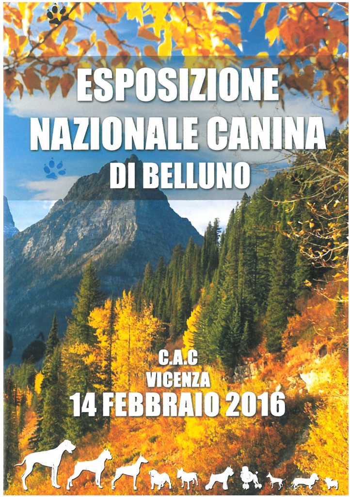 catalogo Belluno