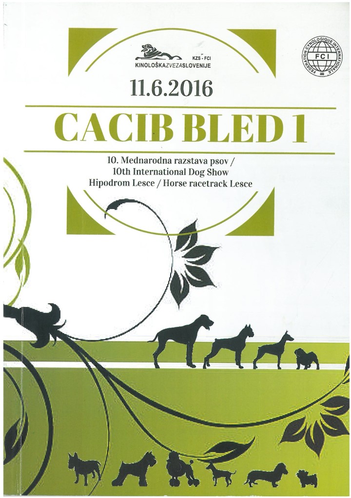 catalogo Bled 1 2016