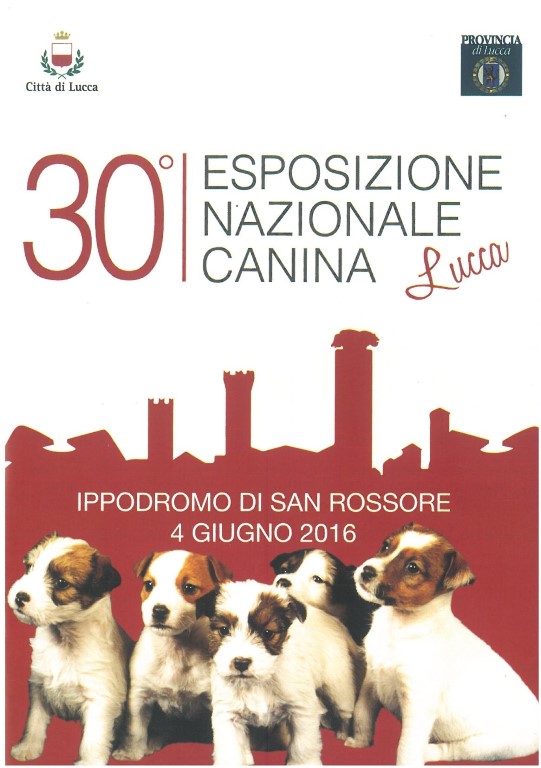 catalogo Lucca