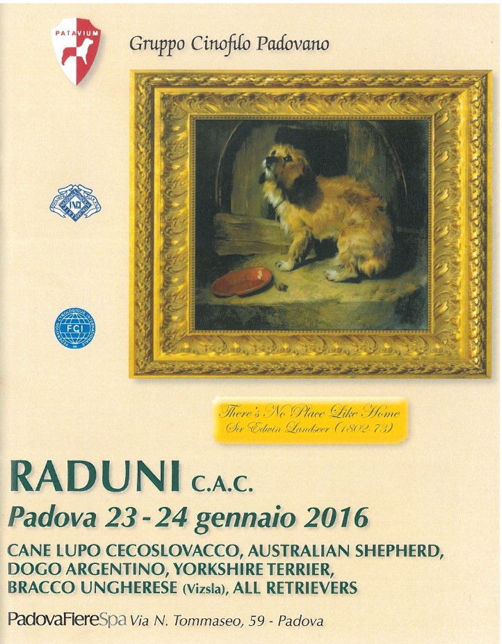 catalogo Padova 2016