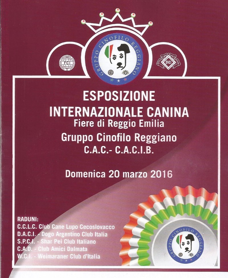 catalogo Reggio 2016