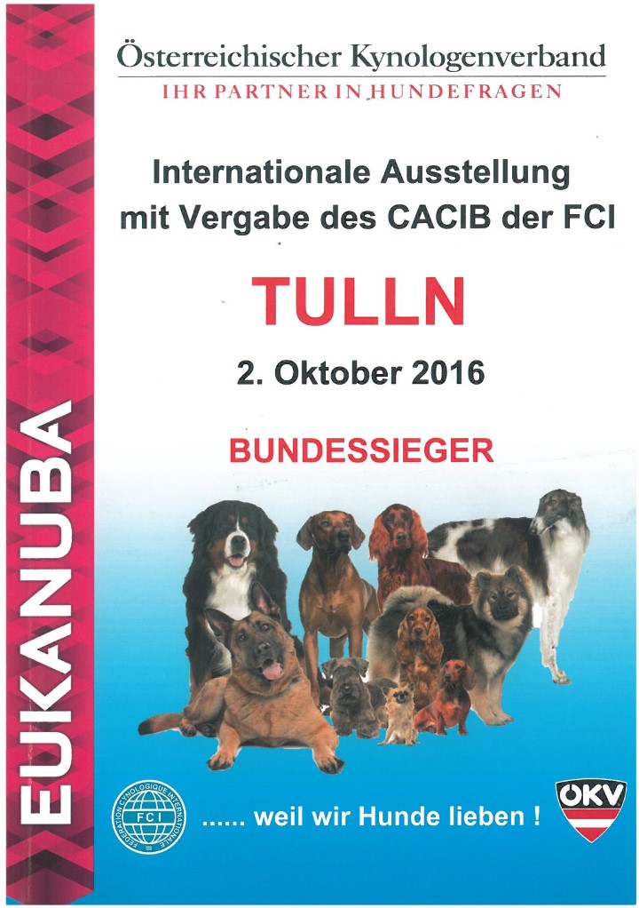 catalogo Tulln 2 2016