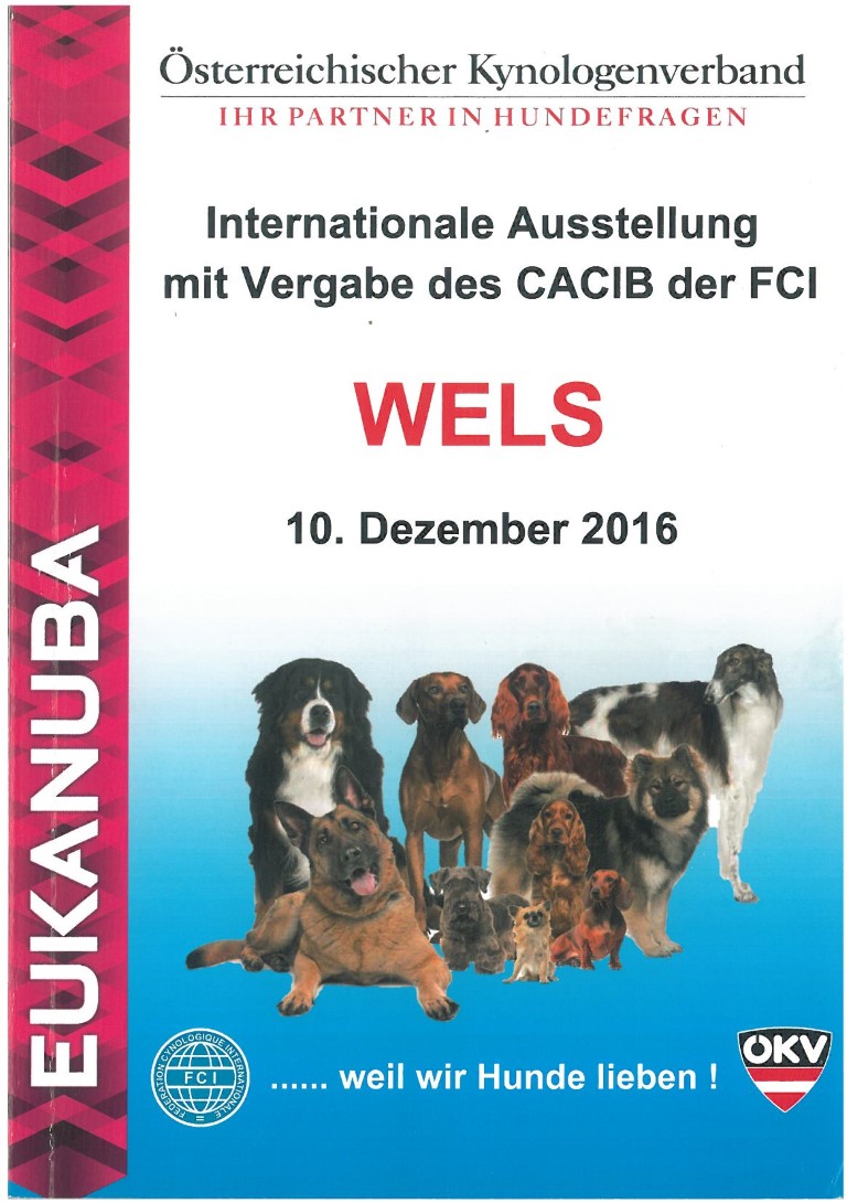 catalogo Wels 1 2016