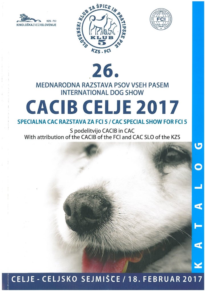 catalogo Celje 1 2017