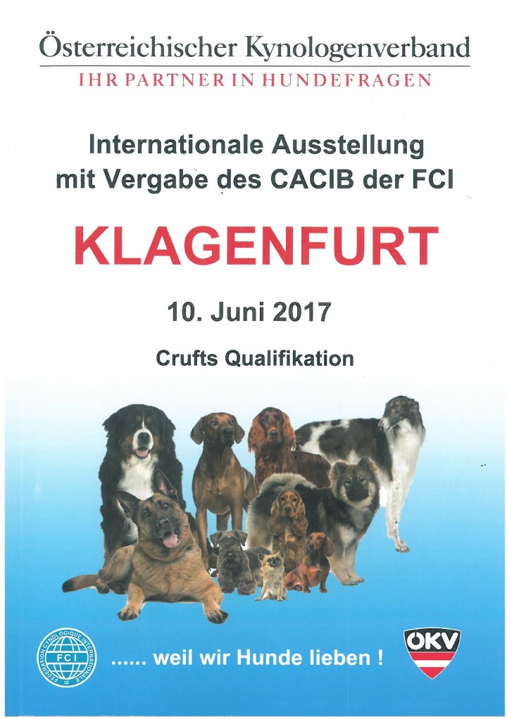 catalogo Klagenfurt  2017